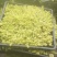 黄金佛甲草地被多肉黄金草庭院室外绿植花园耐寒耐热四季鲜活