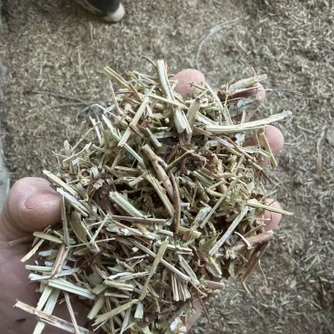 无土无膜花生秧