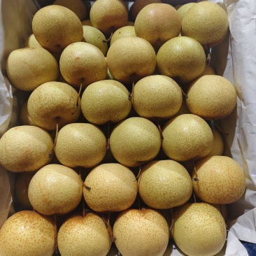 精品花盖