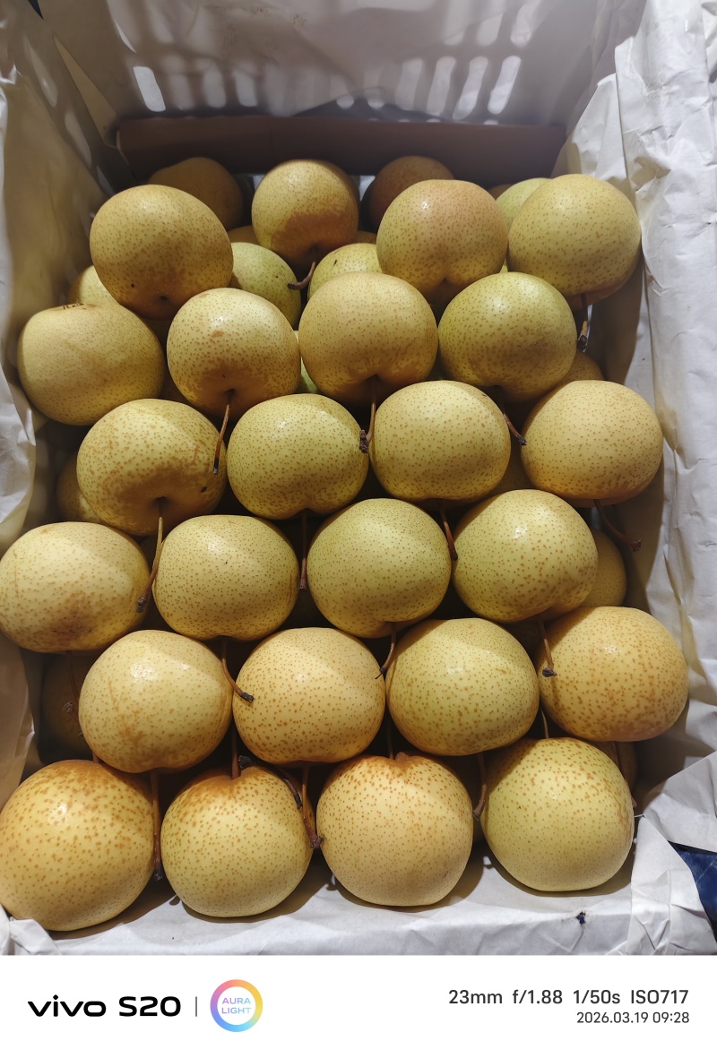 精品花盖