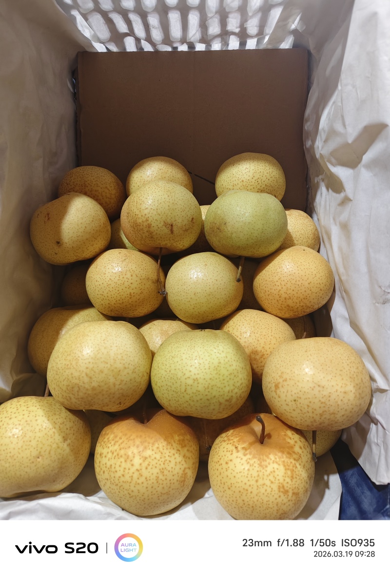 精品花盖