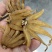 手掌参天然晒干质量保证足干大量现货承接大小订单产