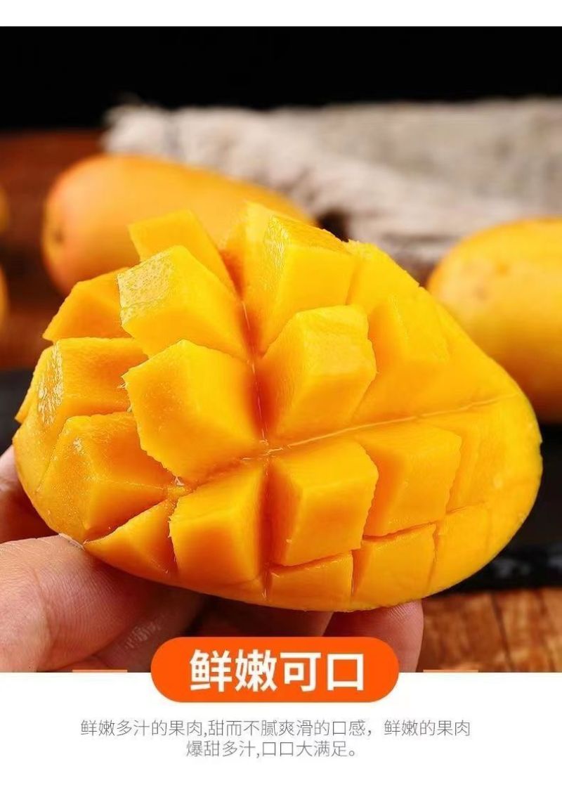 正宗海南小台芒果一件代发包邮电商直播批发团购