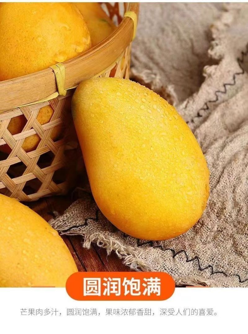正宗海南小台芒果一件代发包邮电商直播批发团购