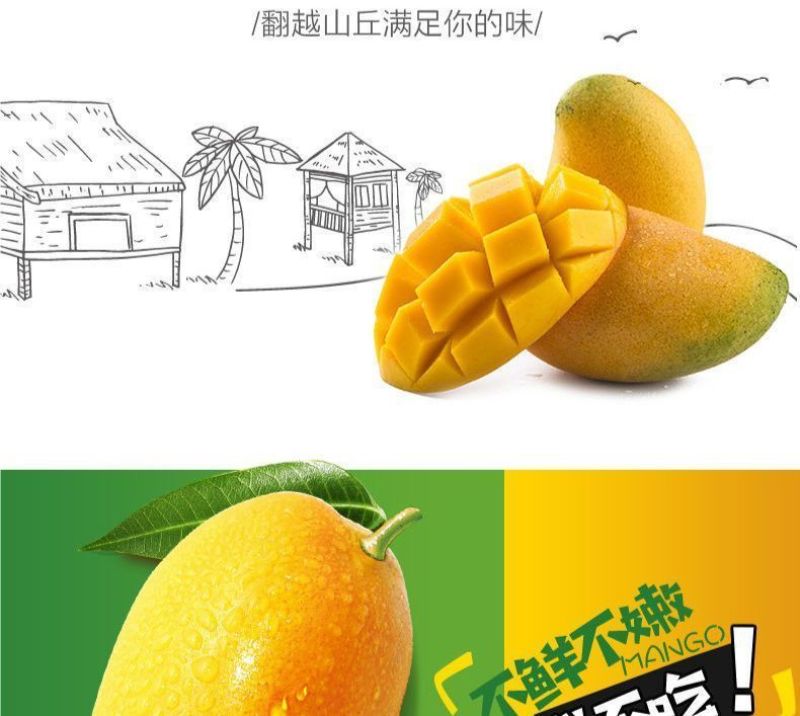 海南小台芒电商一件代发价格低品质好批发直播团购