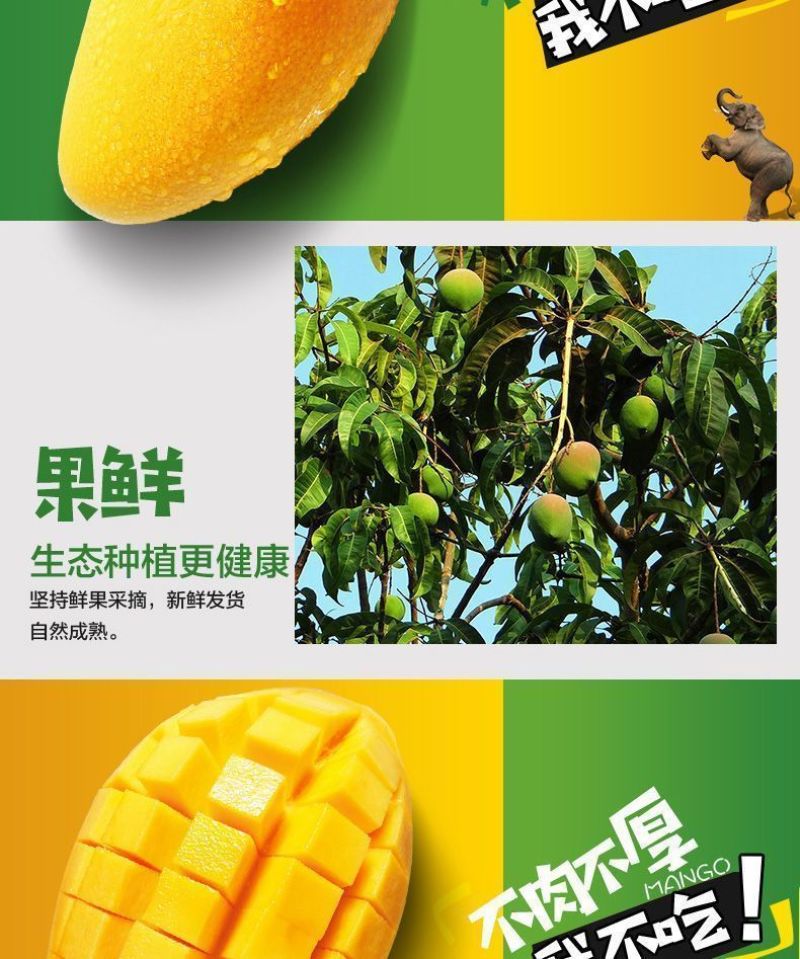 海南小台芒电商一件代发价格低品质好批发直播团购