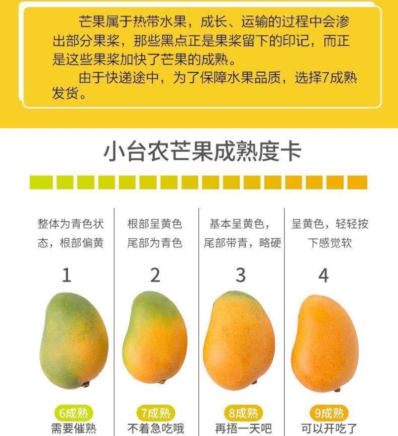 海南小台芒电商一件代发价格低品质好批发直播团购