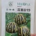 花蜜819甜瓜苗糖度高口感好产量高抗病强苗厂直发