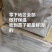 花蜜819甜瓜苗糖度高口感好产量高抗病强苗厂直发