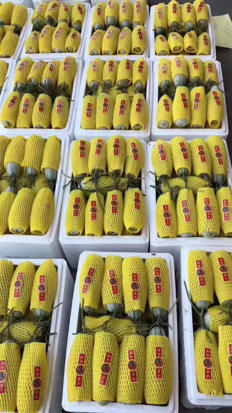 博洋甜瓜，口感脆甜多汁，味道鲜美