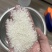 越南碎香米象牙香碎香味浓口感Q弹