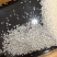 越南碎香米象牙香碎香味浓口感Q弹