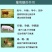 祥瑞食用葡萄糖粉兽用农用一水烘焙甜味剂口服水处理培菌葡萄