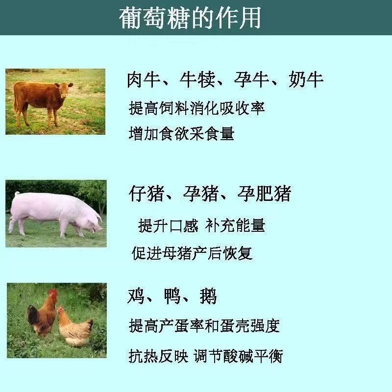 祥瑞食用葡萄糖粉兽用农用一水烘焙甜味剂口服水处理培菌葡萄