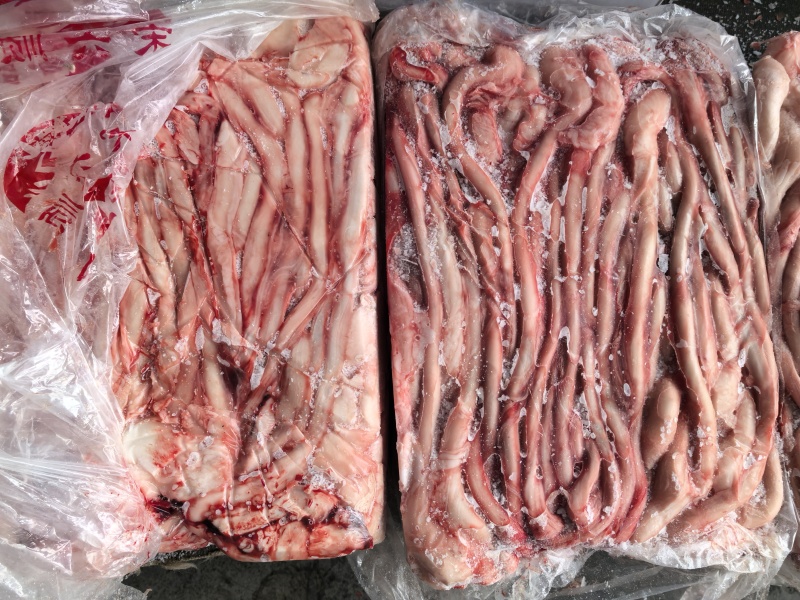 大条猪鞭一箱300条左右