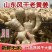 山东老姜/产地常年批发【烘干姜沙土姜】电商批发商超