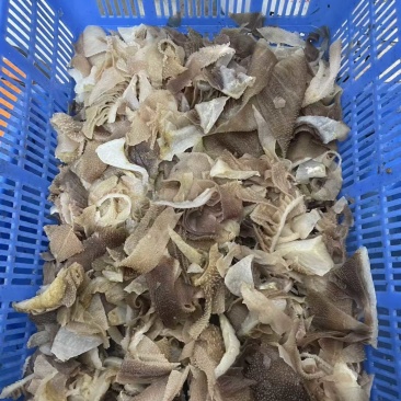 个位数的毛肚，欢迎采购，大量有货