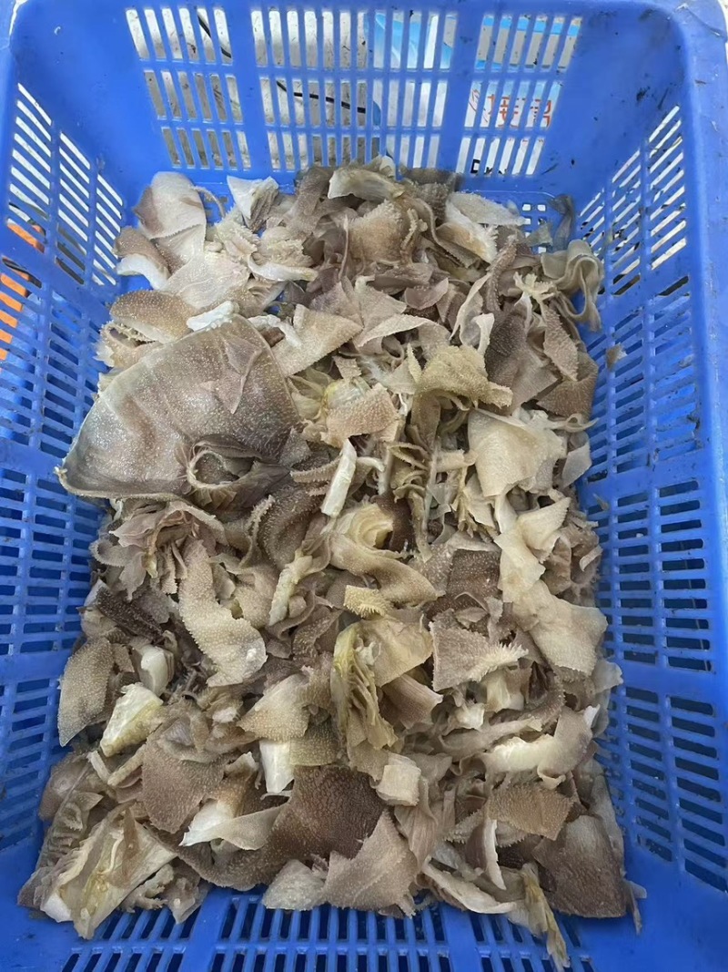 个位数的毛肚，欢迎采购，大量有货