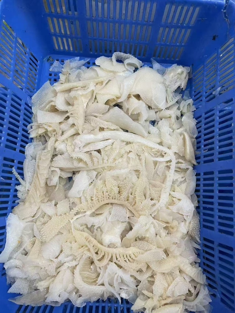 个位数的毛肚，欢迎采购，大量有货