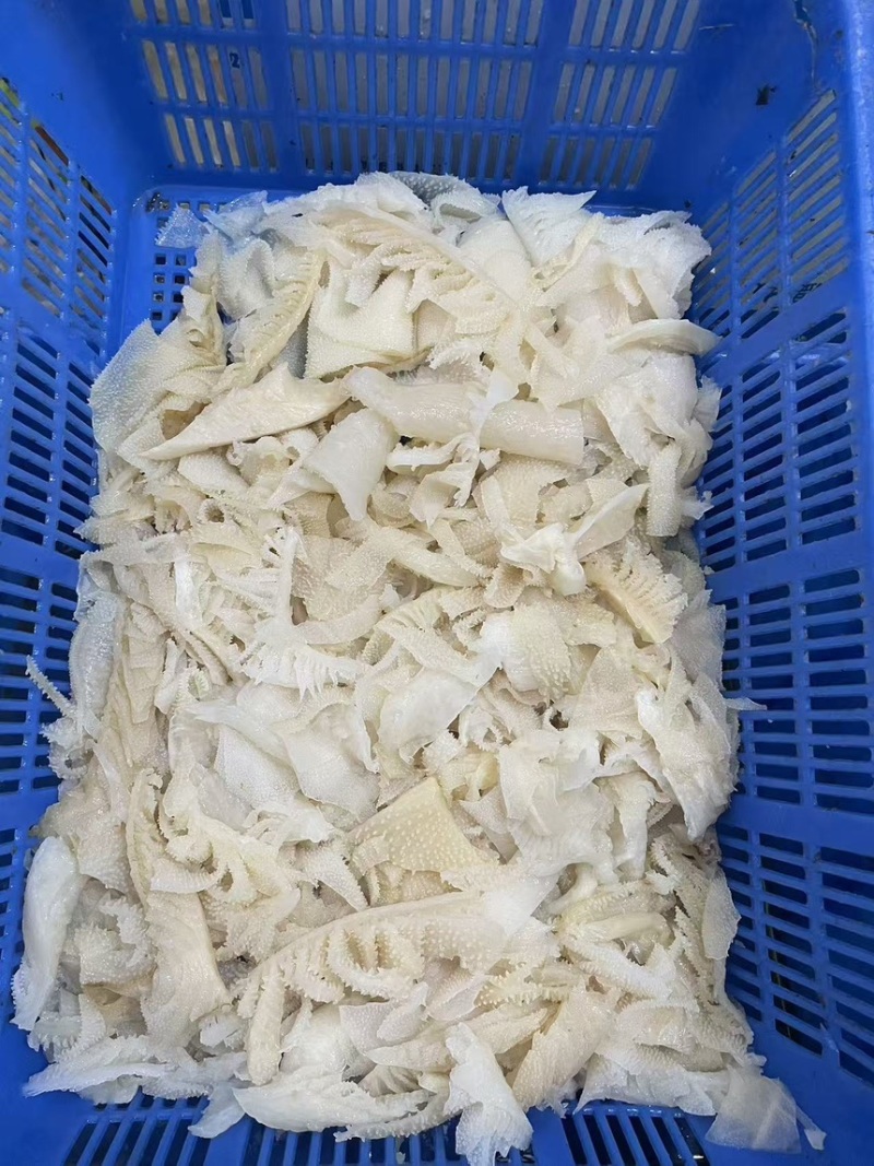 个位数的毛肚，欢迎采购，大量有货