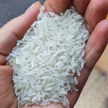 一级黄花粘，无碎米无白米，香米，包装精美，免费寄样