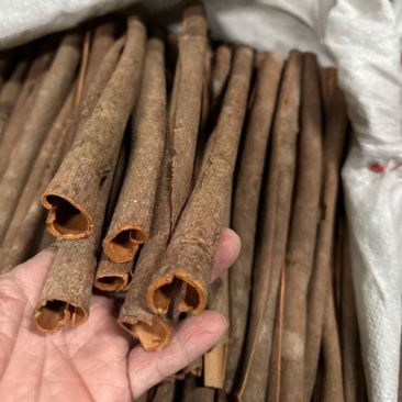 广西桂皮，选装，无白斑