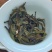 2026年景迈大树茶