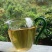 2026年景迈大树茶