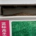 蓝标高羊茅，欧盟认证高品质草种，纯度与发芽率双高，出苗齐