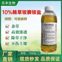 麒丁10%精草铵膦铵盐非耕地使用杂草持效期长灭生性除草剂