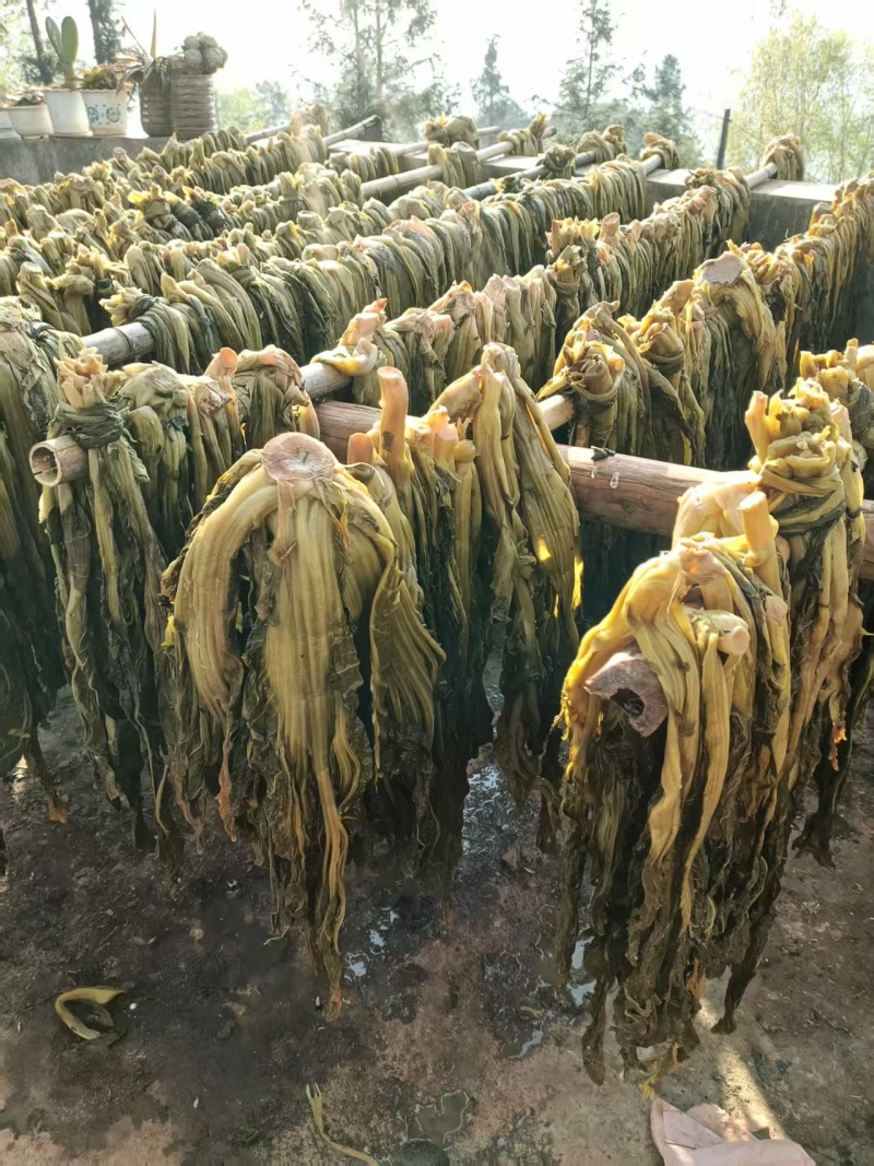 云南省宣威特产干酸菜，货源充足量大从优欢迎随时联系