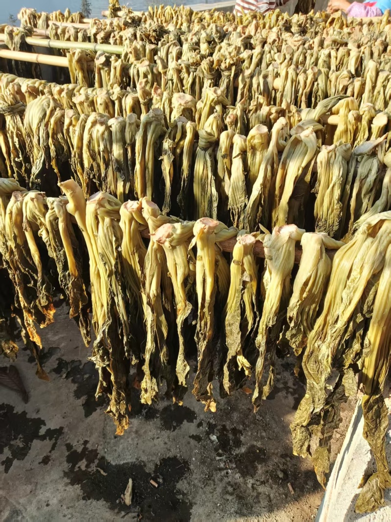云南省宣威特产干酸菜，货源充足量大从优欢迎随时联系