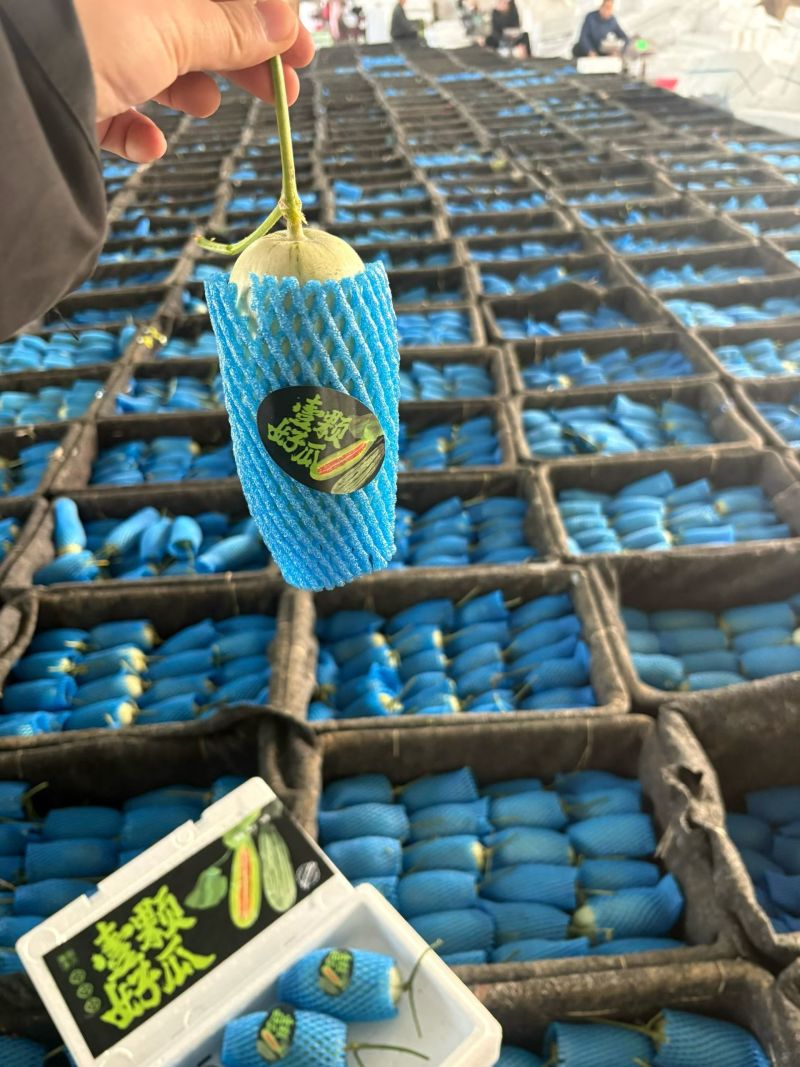 博洋甜瓜博洋72蜜源18蜜77凯蜜88社区团购，精品市场