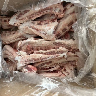带肉羊胸骨