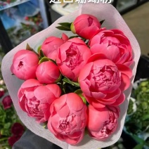 芍药