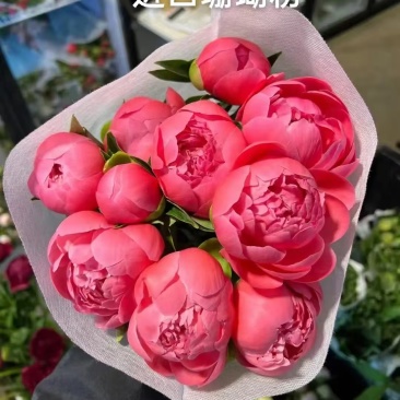 芍药