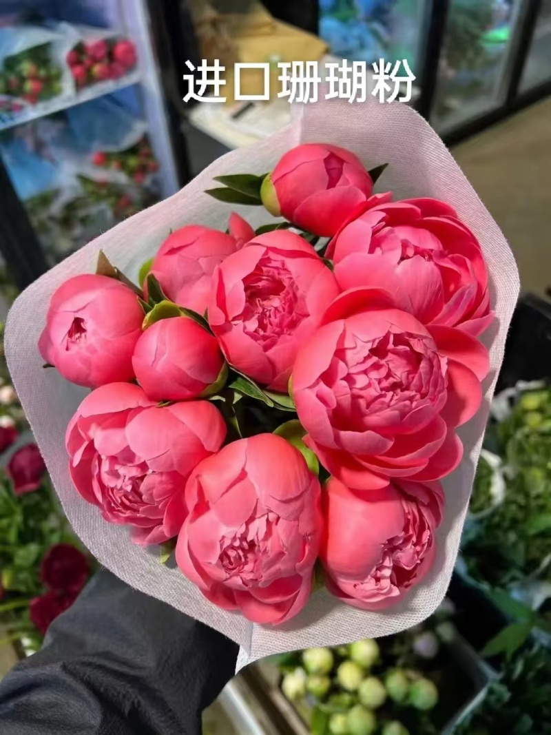 芍药