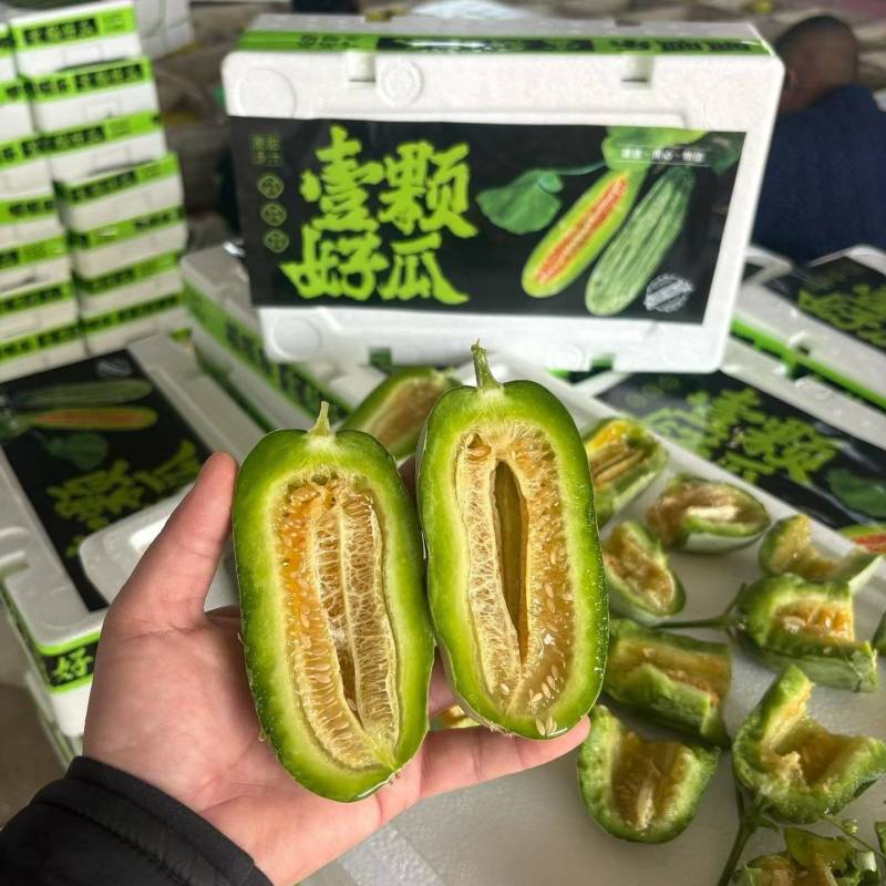 博洋甜瓜博洋72蜜源18蜜77凯蜜88社区团购，精品市场