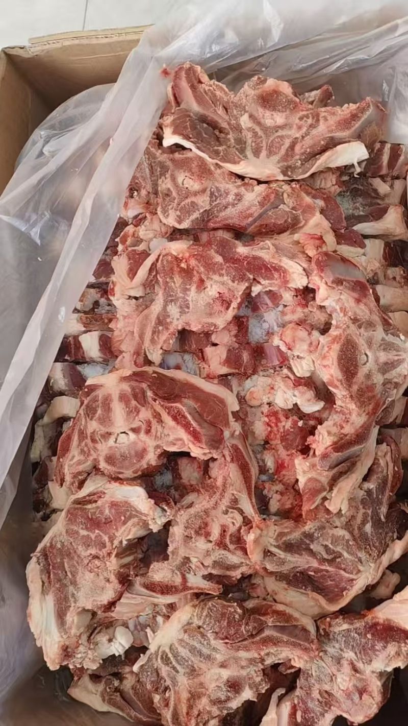 羊蝴蝶骨