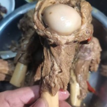 内蒙满肉羊棒骨
