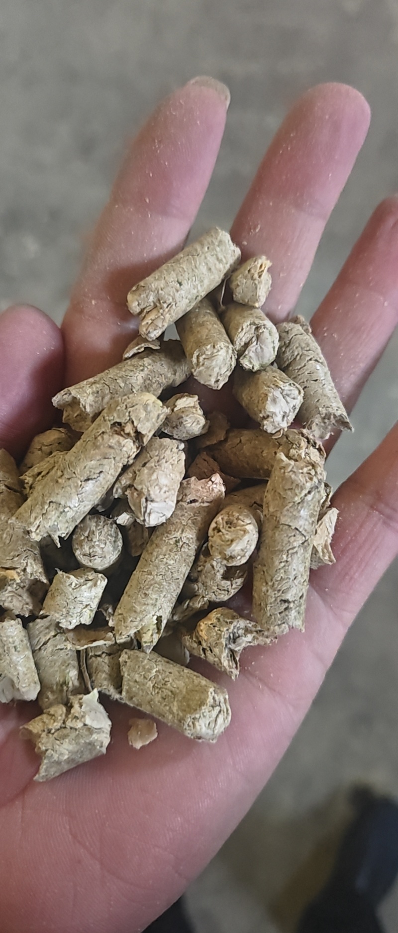 南瓜子皮颗粒饲料
