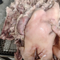 半成品去骨猪头肉