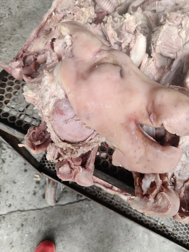 半成品去骨猪头肉