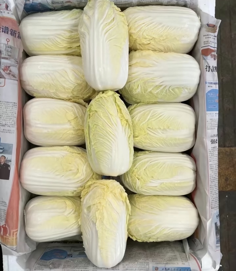 源头基地直供一手货源市场精品商超对接量大品优