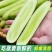 白玉黄瓜湖北黄瓜产地一手货源，规格齐全，量大从优价格可谈