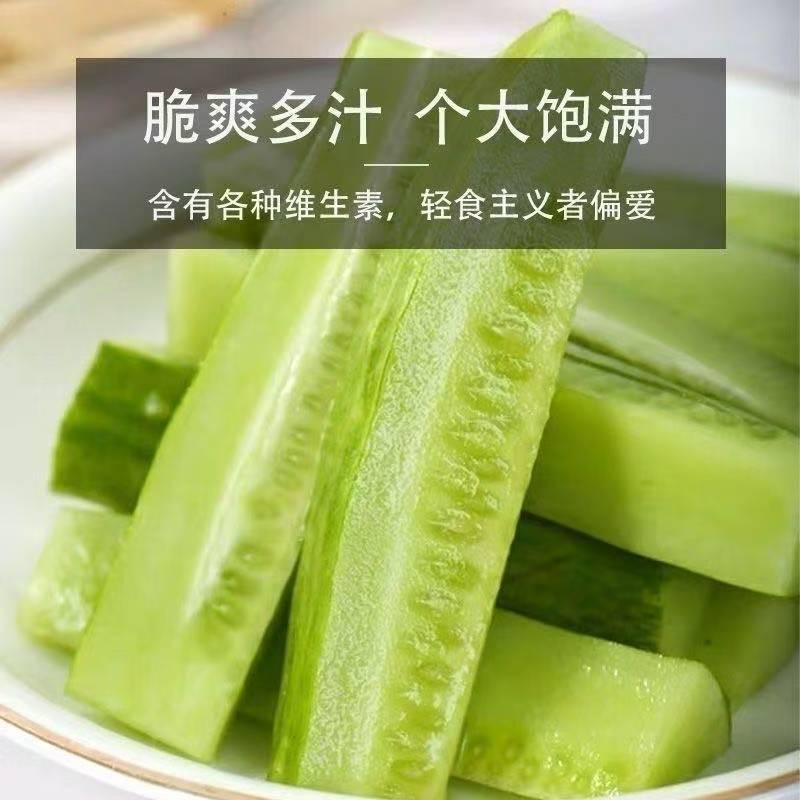 白玉黄瓜湖北黄瓜产地一手货源，规格齐全，量大从优价格可谈