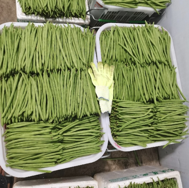 小金豆市场精品商超靓货电商价低可抽真空全国发货