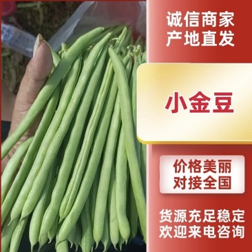 小金豆市场精品商超靓货电商价低可抽真空全国发货