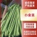 小金豆市场精品商超靓货电商价低可抽真空全国发货
