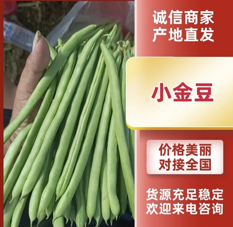 小金豆市场精品商超靓货电商价低可抽真空全国发货